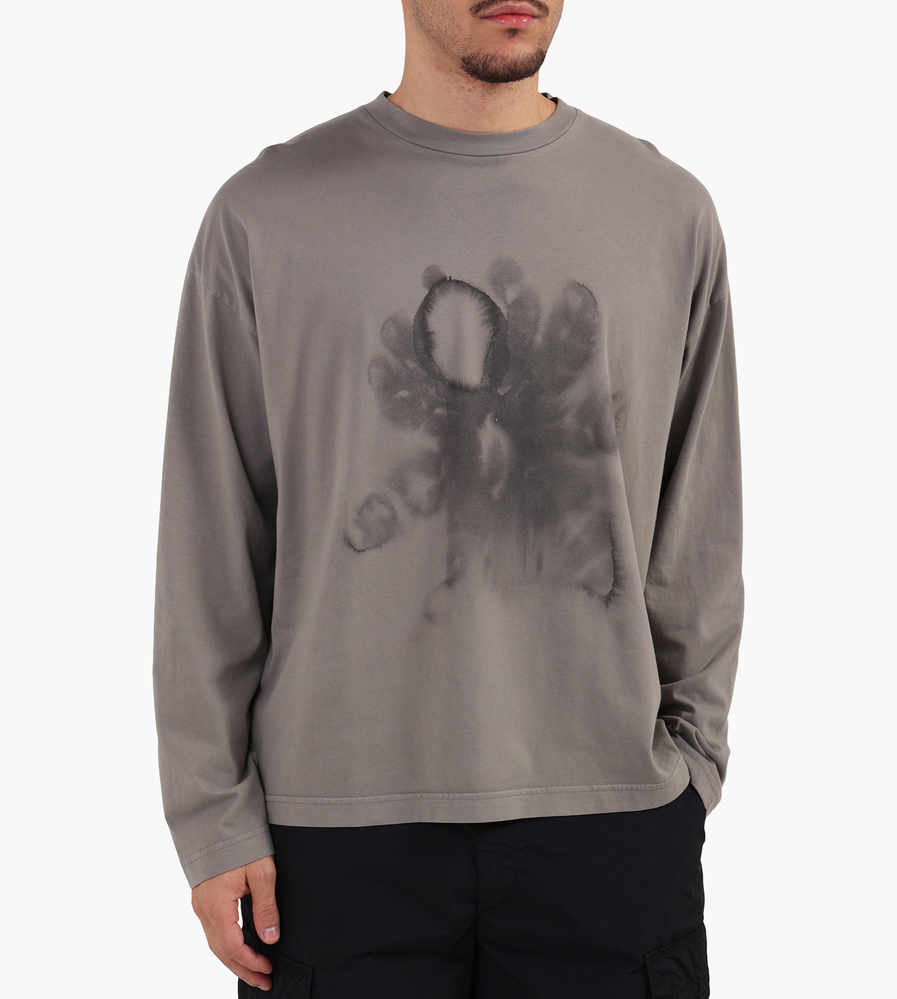 Wild Animals Tarantula Longsleeve Grey