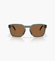 Oakley HSTN Brown Grey