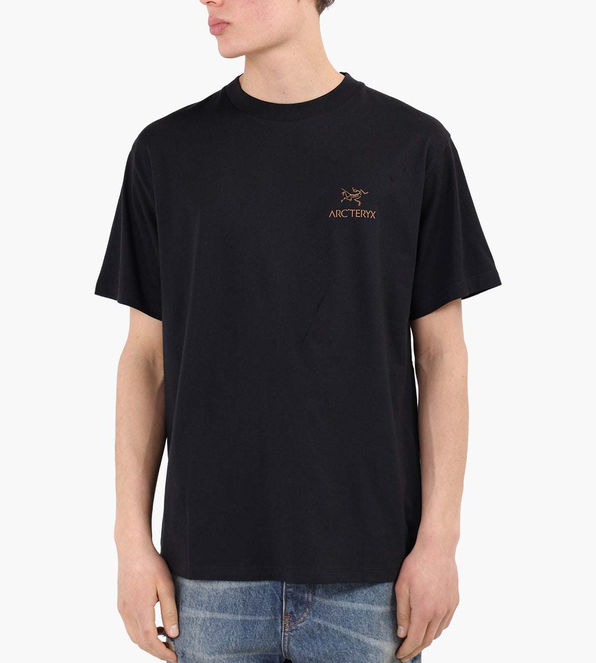 Arc'teryx Kragg SL Cotton Bird Word Tee M 24K Black