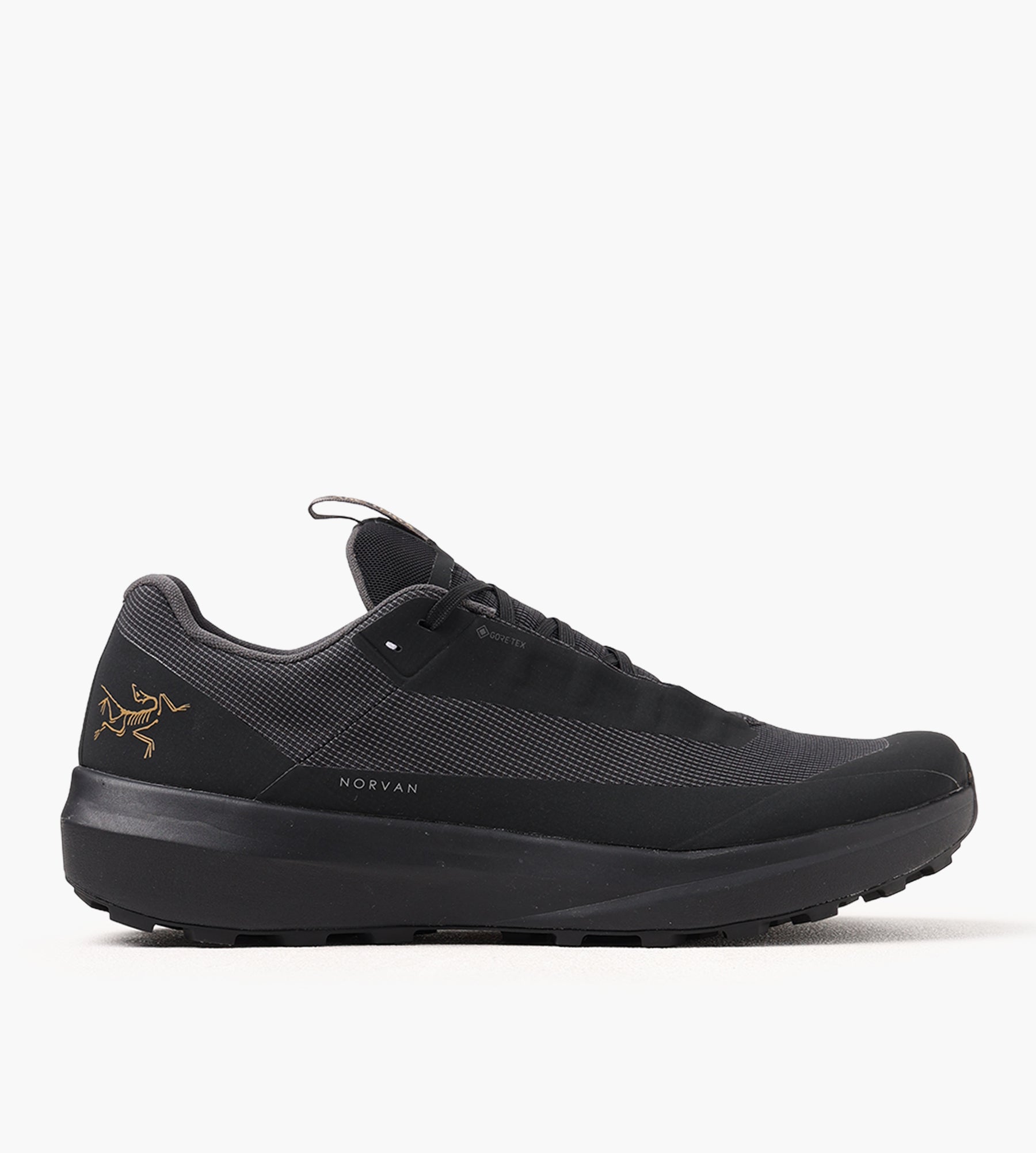 Arc'teryx Norvan LD 4 GTX Men Black Black