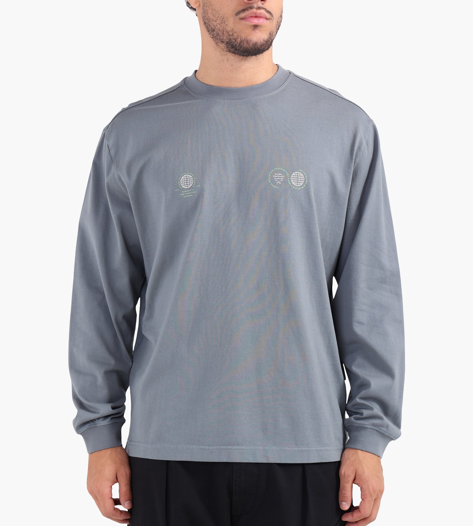 Purple Mountain Observatory Globe Longsleeve Stormy