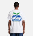 Obey Intercontinental Tee White