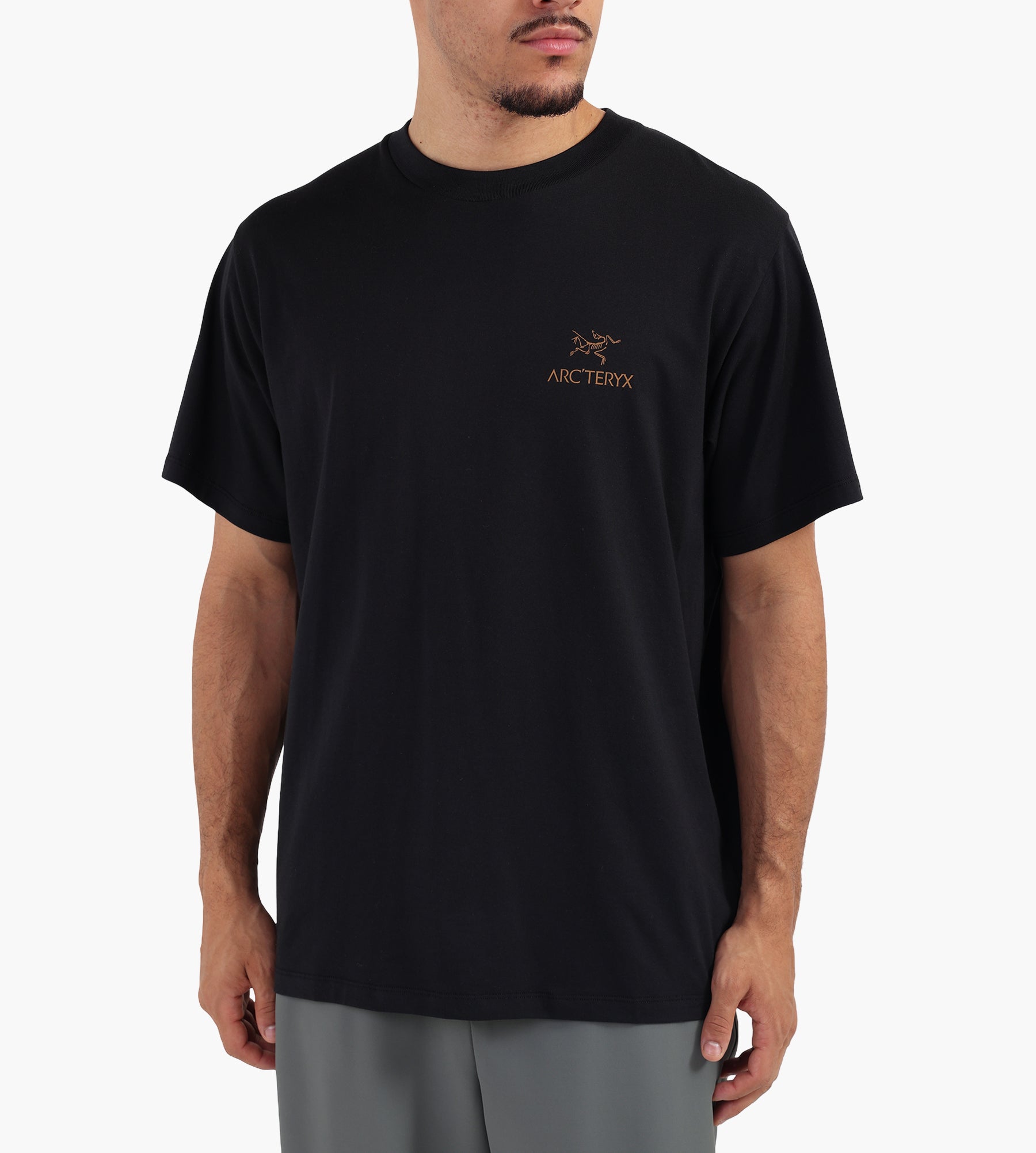 Arc'teryx Kragg SL Cotton Bird Word Tee M 24K Black