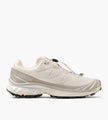 Salomon XT-6 Rainy Day Paloma Ftw Silver
