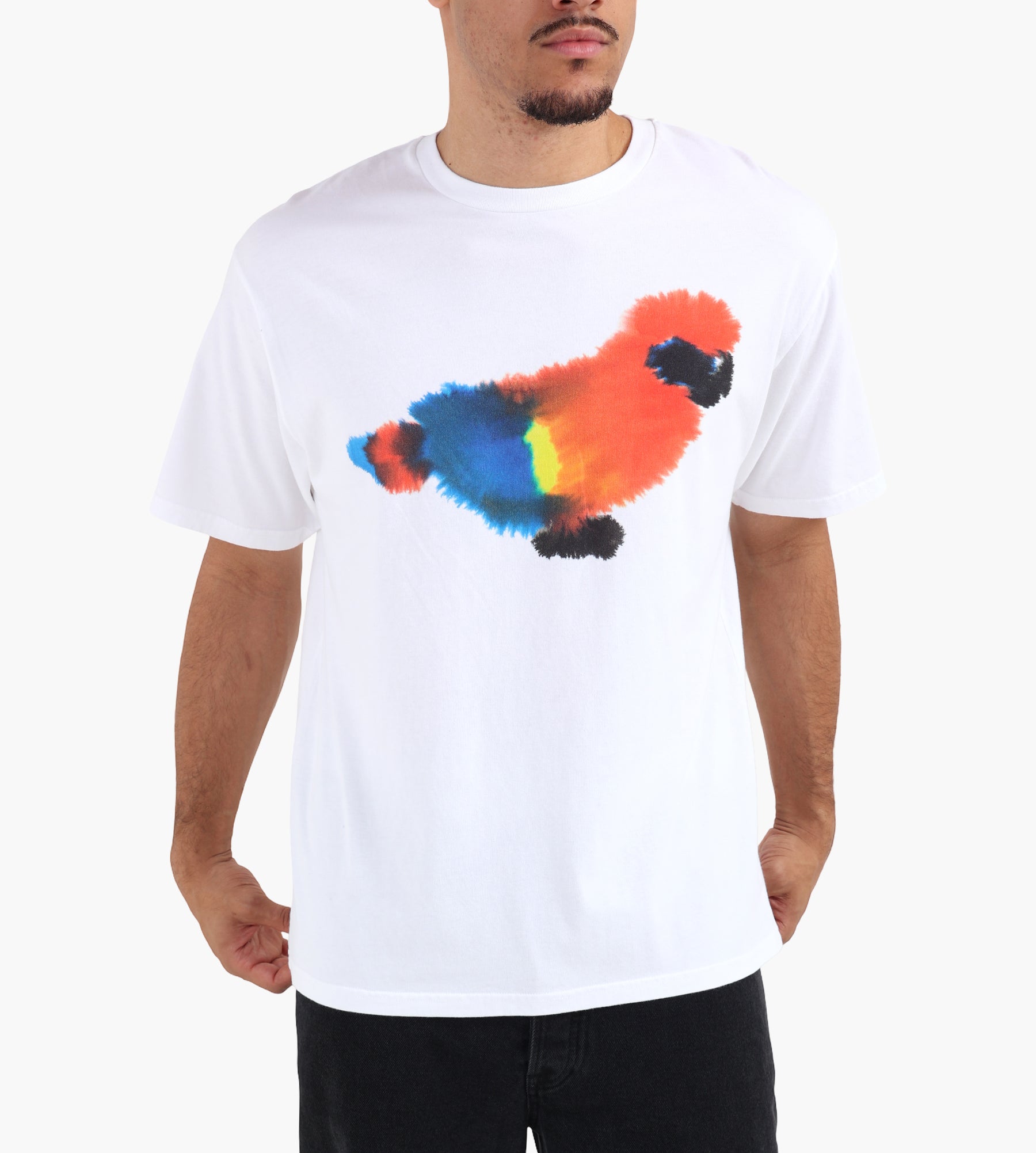 Wild Animals Parrot T-Shirt White