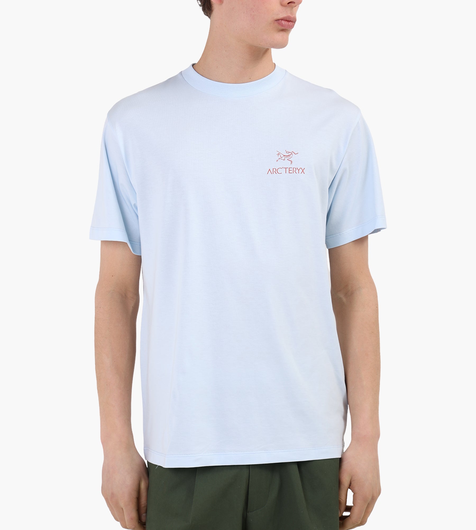 Arc'teryx Kragg SL Cotton Bird Word SS Tee M Alpine Blue Stone Red