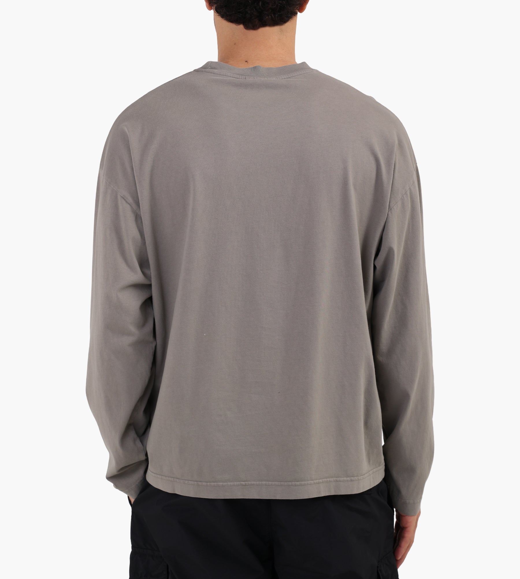 Wild Animals Tarantula Longsleeve Grey