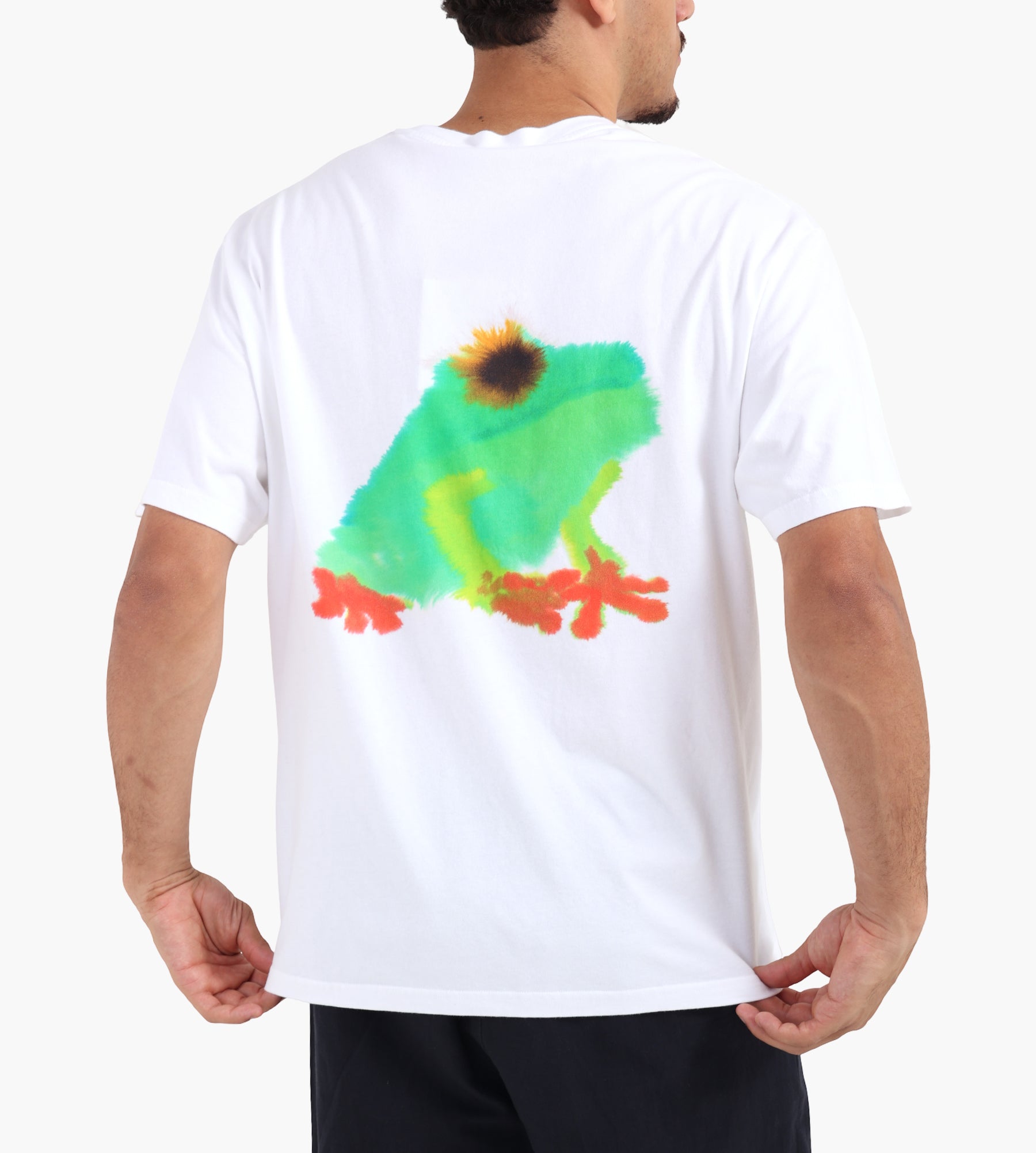 Wild Animals Frog T-Shirt White