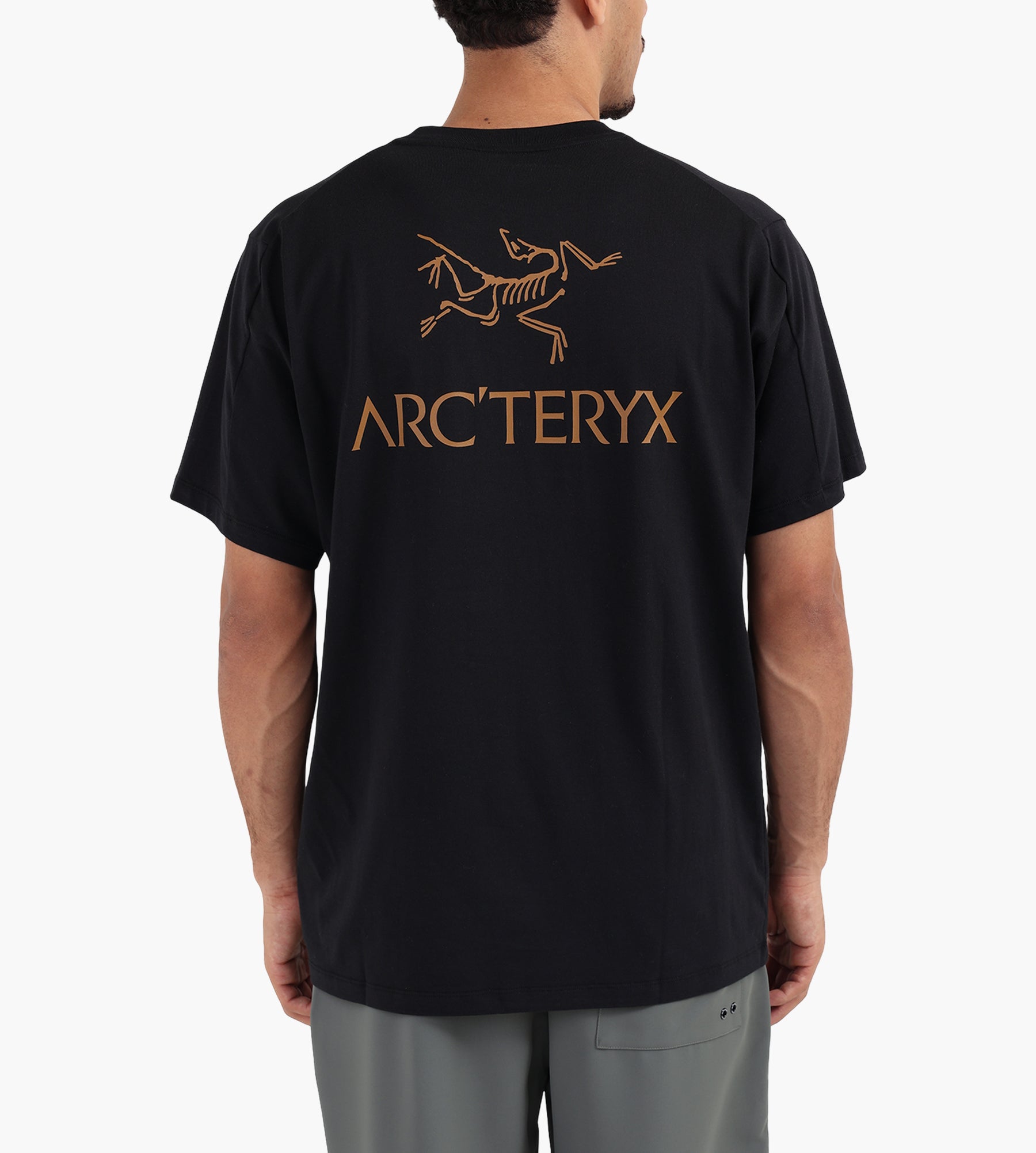 Arc'teryx Kragg SL Cotton Bird Word Tee M 24K Black