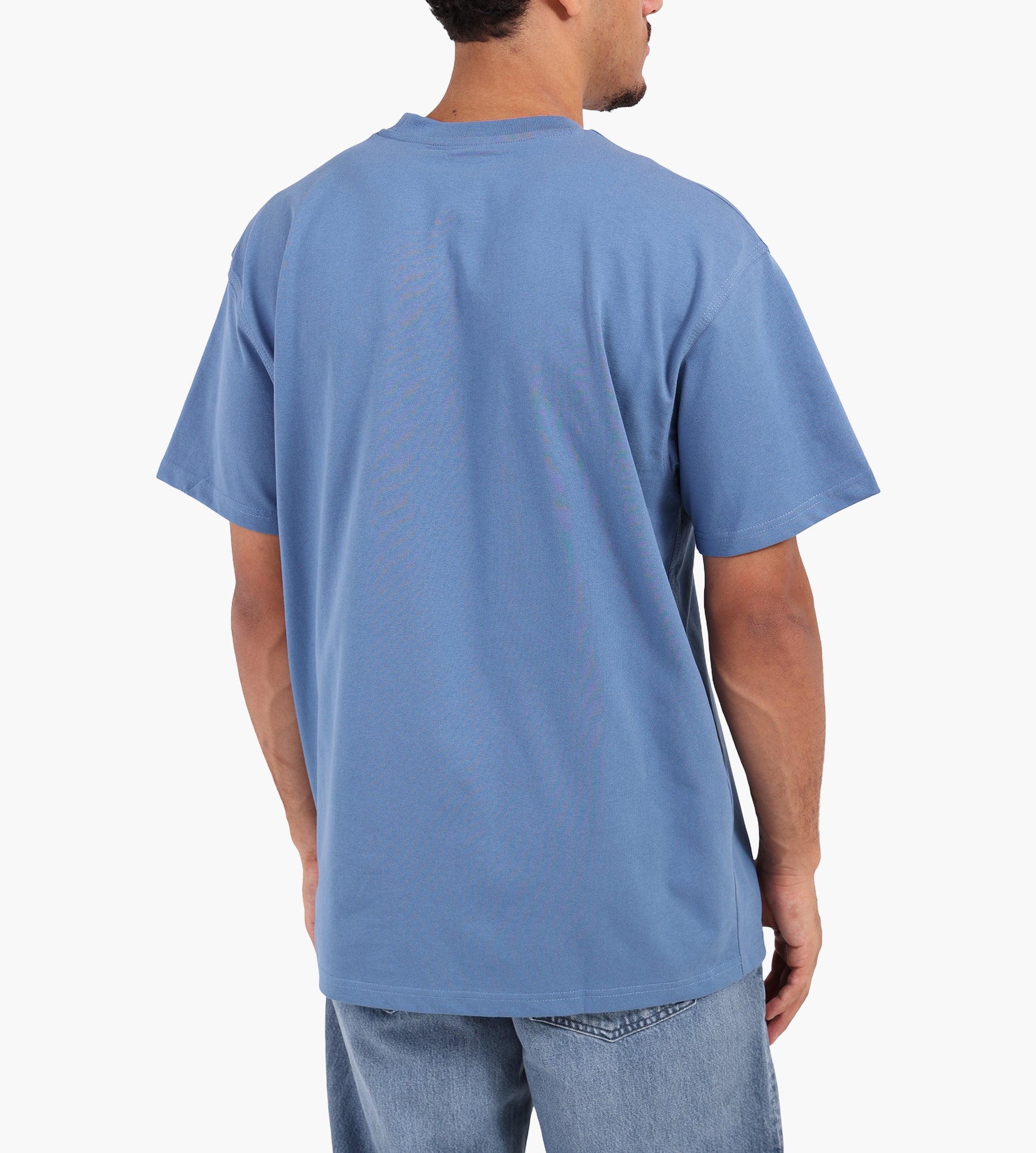 Carhartt WIP American Script T-Shirt Sorrent