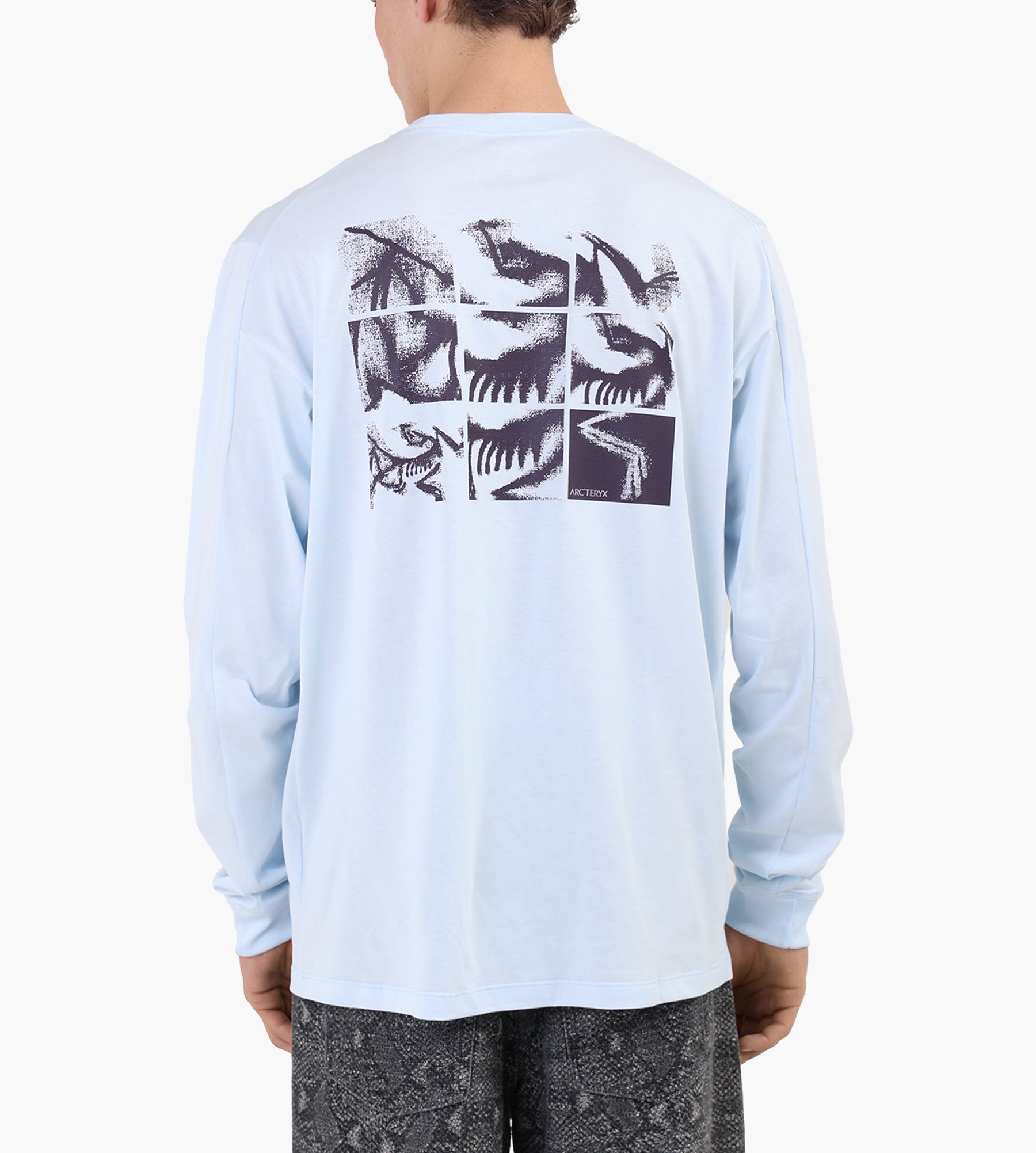 Arc'teryx Kragg SL Cotton Bird Tile Longsleeve M Alpine Blue Moondrop