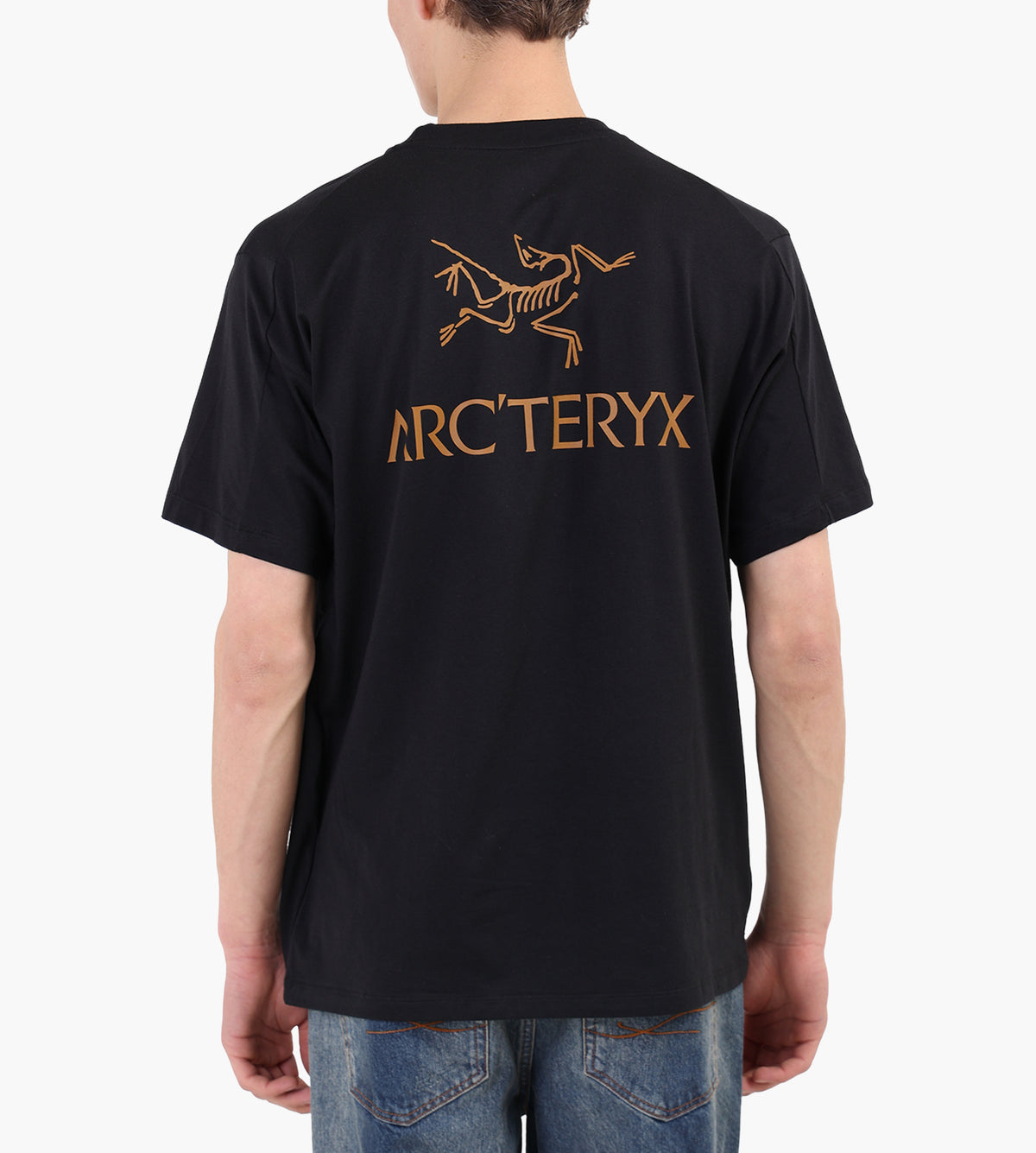 Arc'teryx Kragg SL Cotton Bird Word Tee M 24K Black