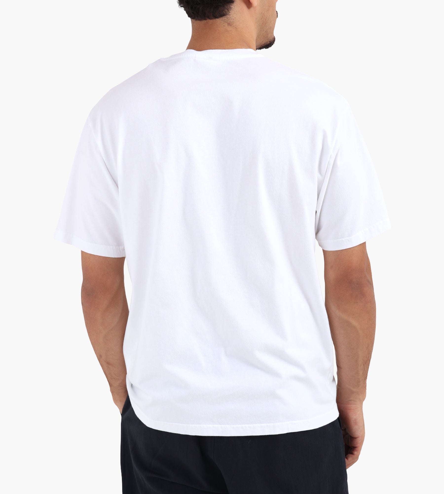 Wild Animals Tiger T-Shirt White