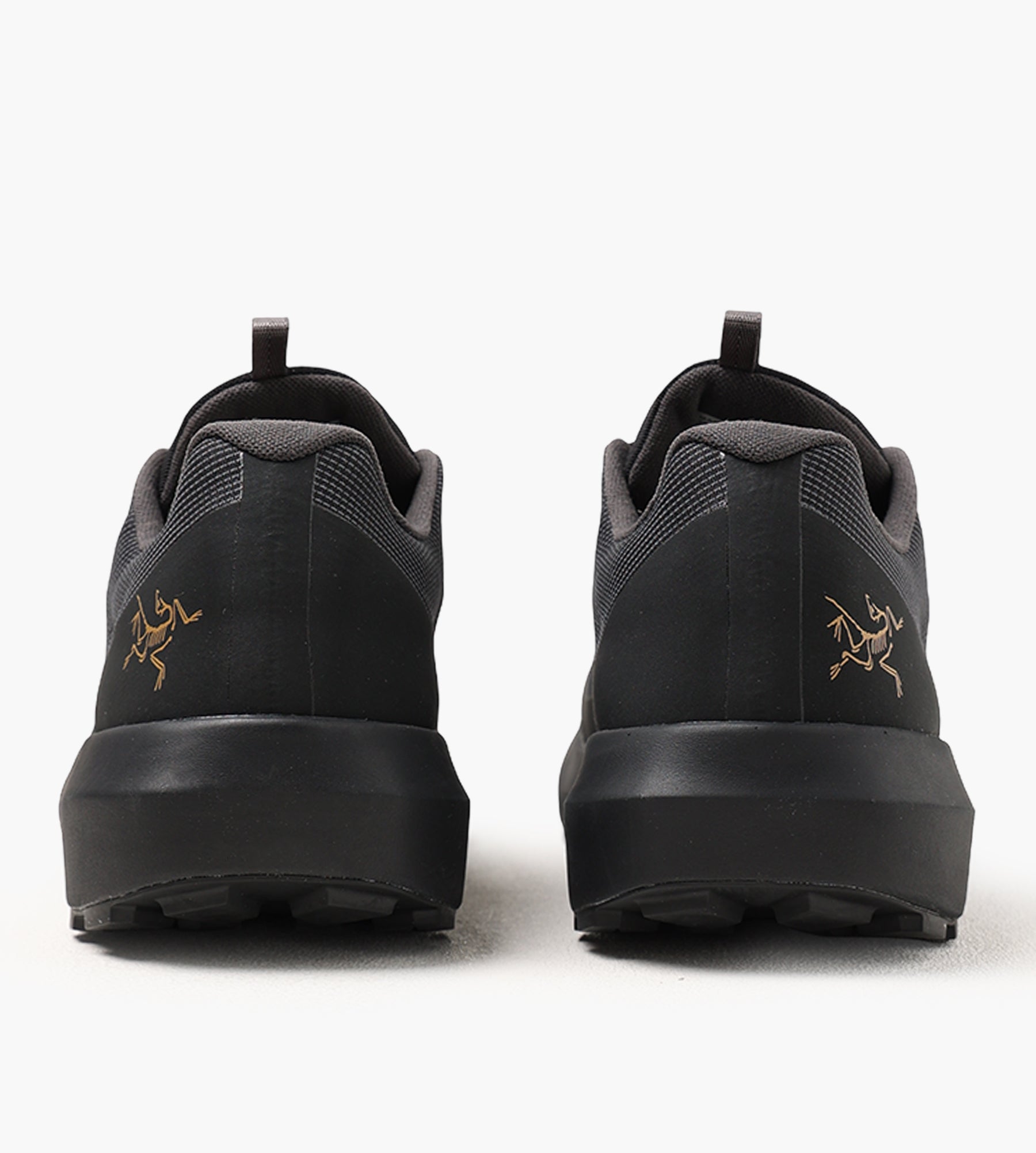 Arc'teryx Norvan LD 4 GTX Men Black Black - Arc'teryx - Footwear