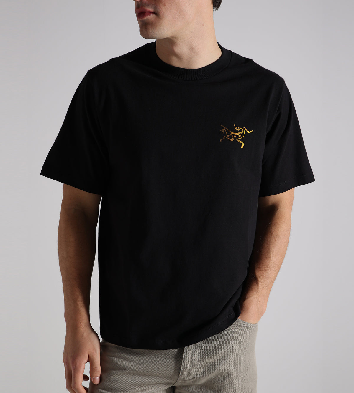 Arc'teryx Kragg Cotton Logo Tee M 24K Black