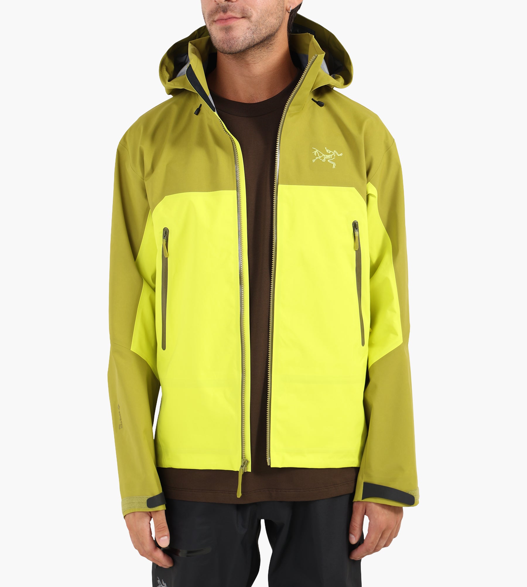 Arc'teryx Beta AR Jacket M Olive Moss Euphoria