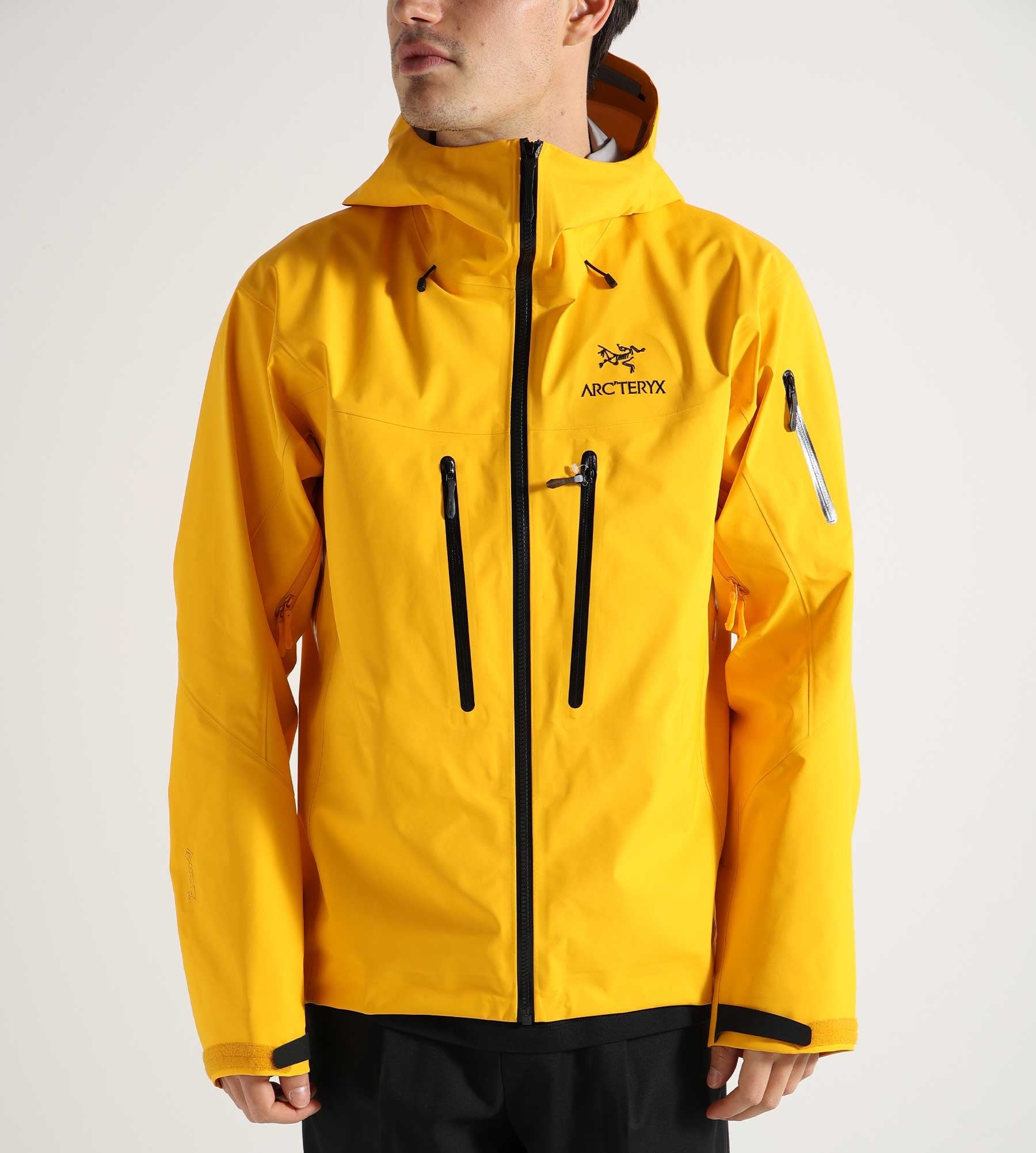 Arc'teryx Alpha SV Jacket Men's Edziza