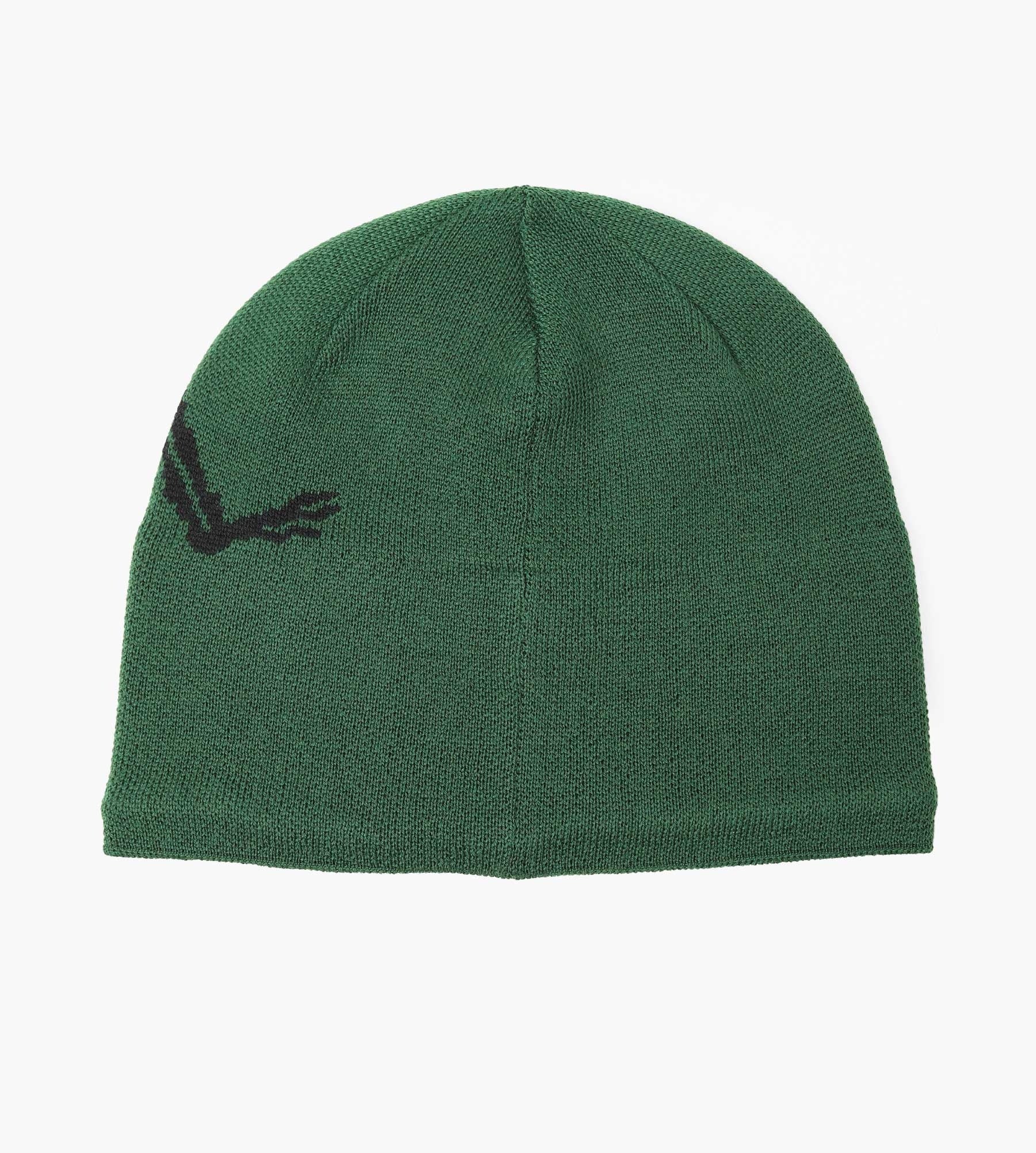 Arc'teryx Bird Head Toque Eden Black