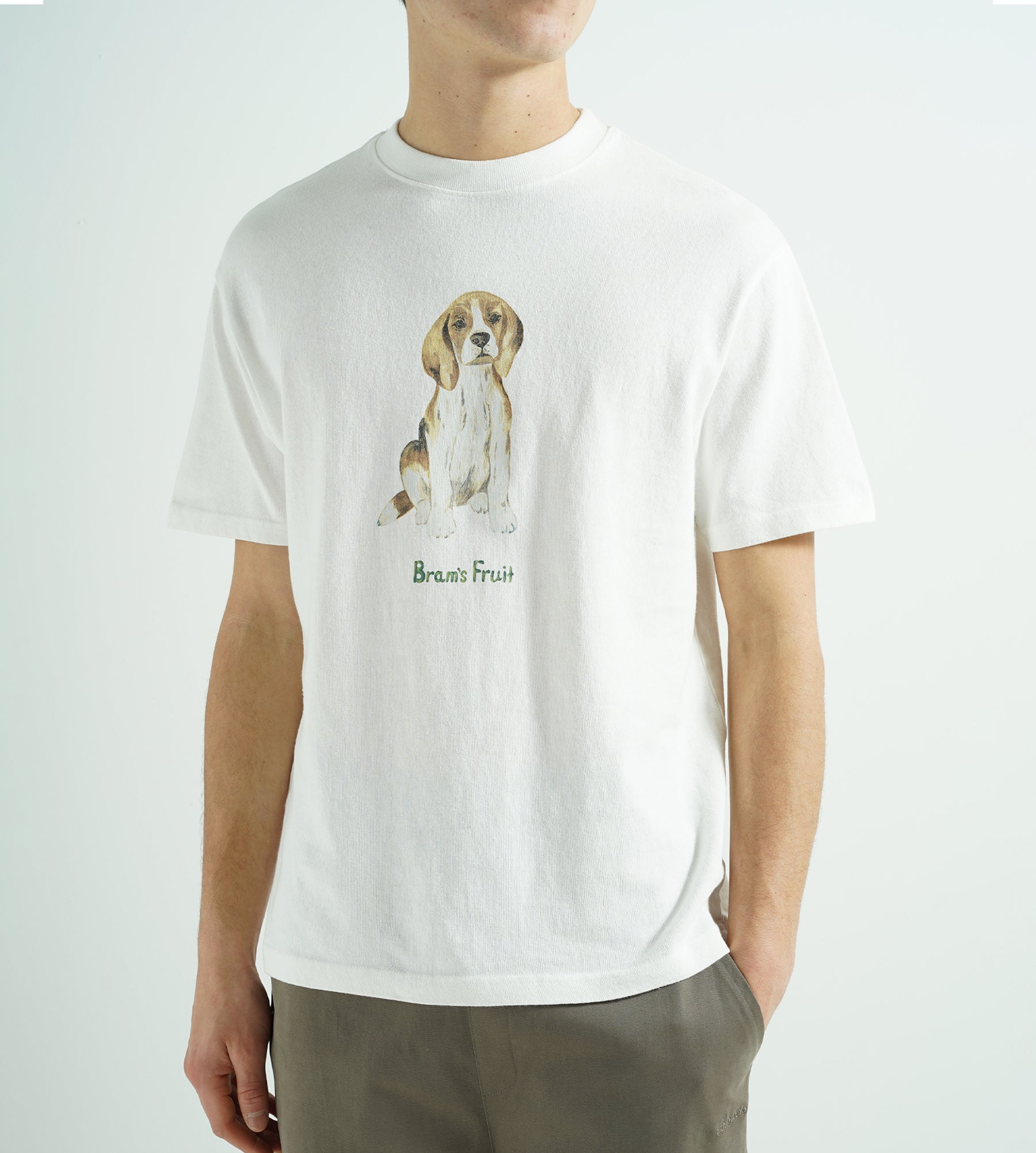 Bram's Fruit Beagle Aquarel T-Shirt White