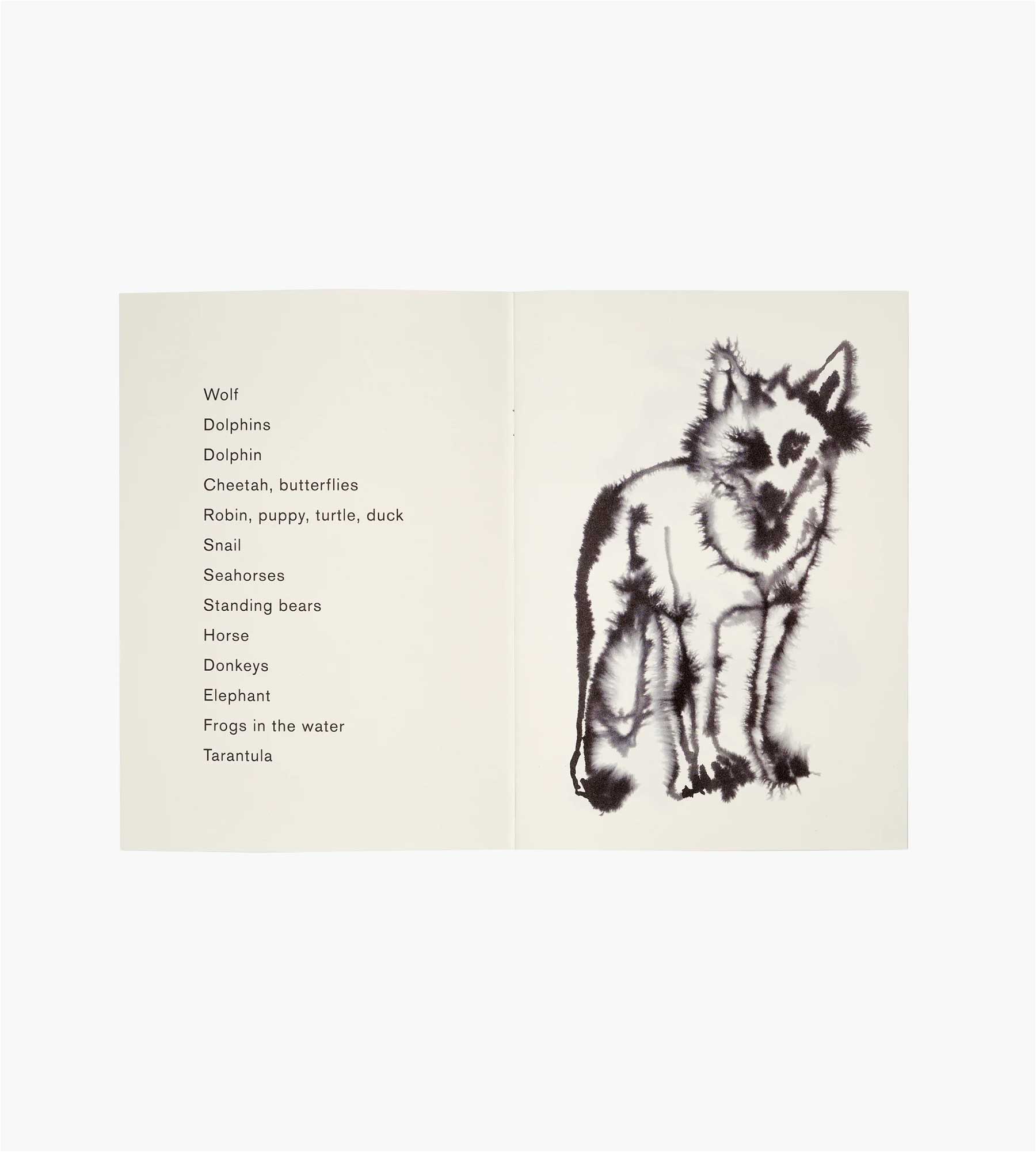 Wild Animals Colouring Book