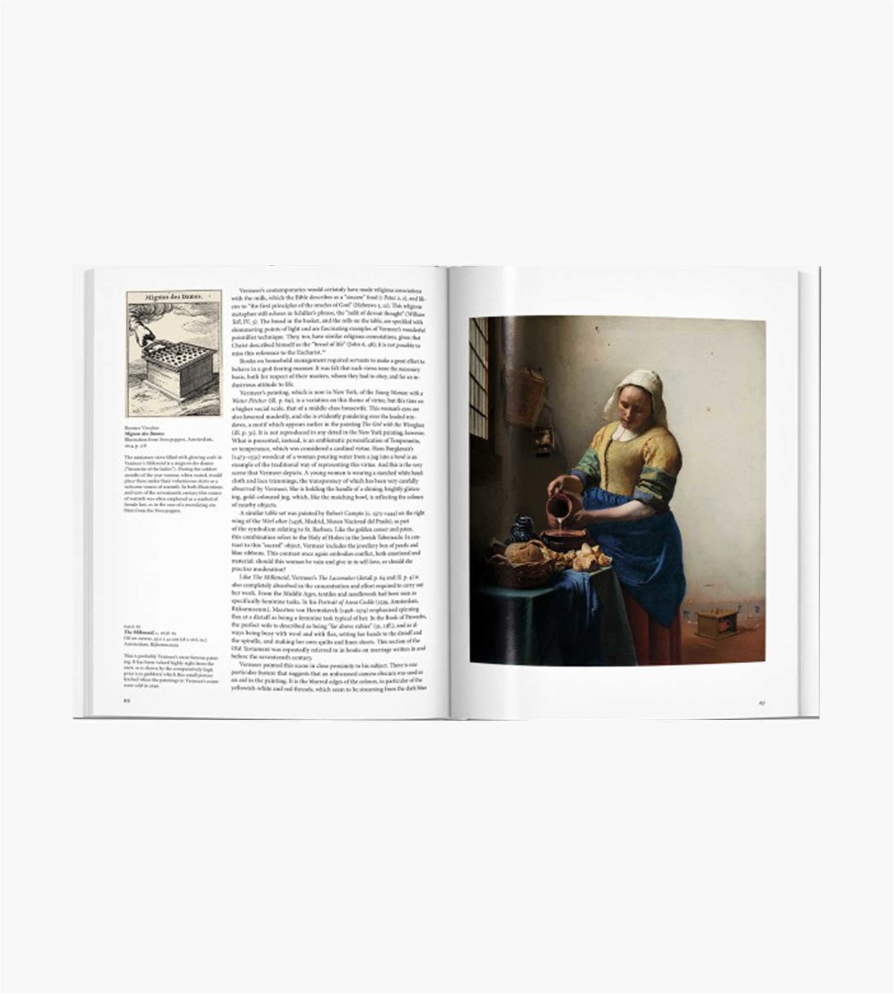 Taschen Vermeer basismonografie (GB)